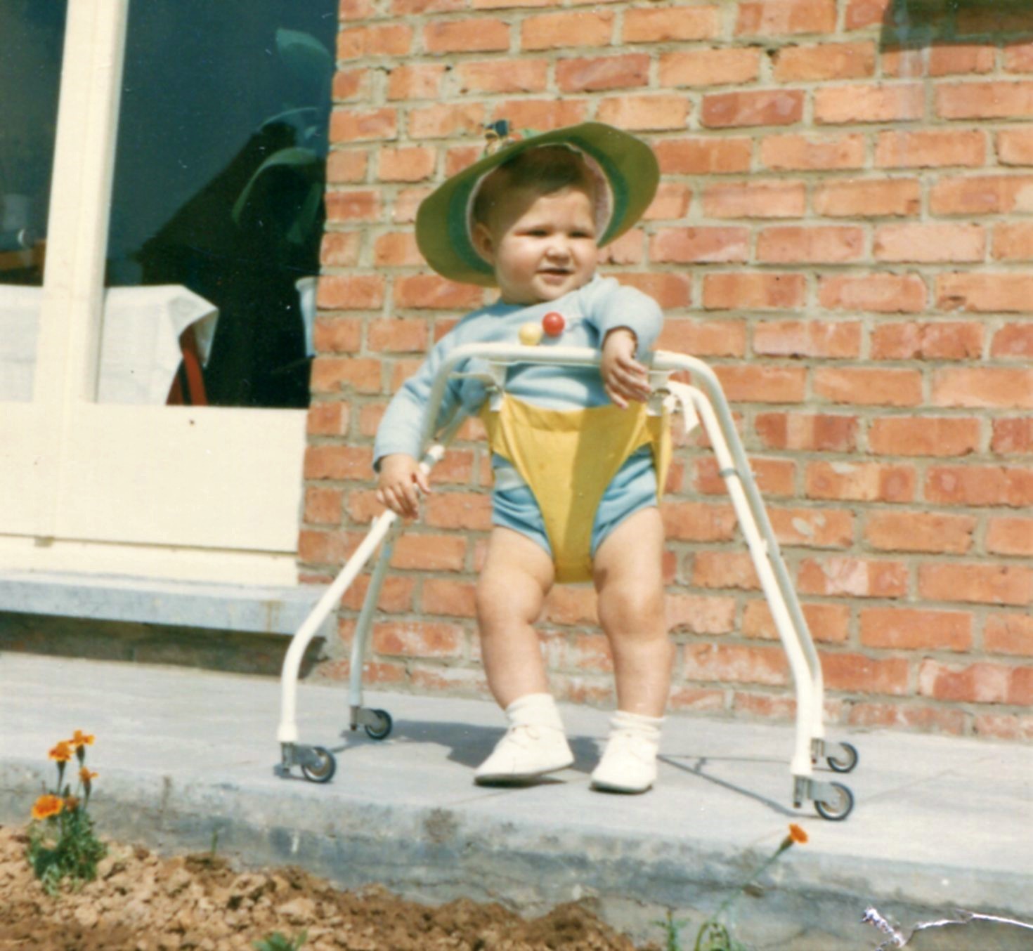 Snake 1966